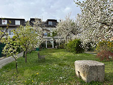 Ferienwohnungen Rust