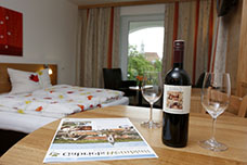 Wohnung 1